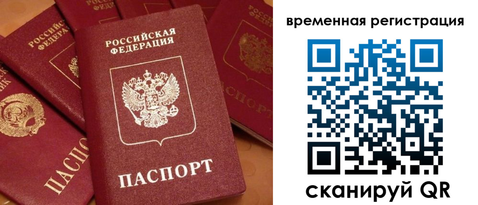 где прописаться в Ртищево